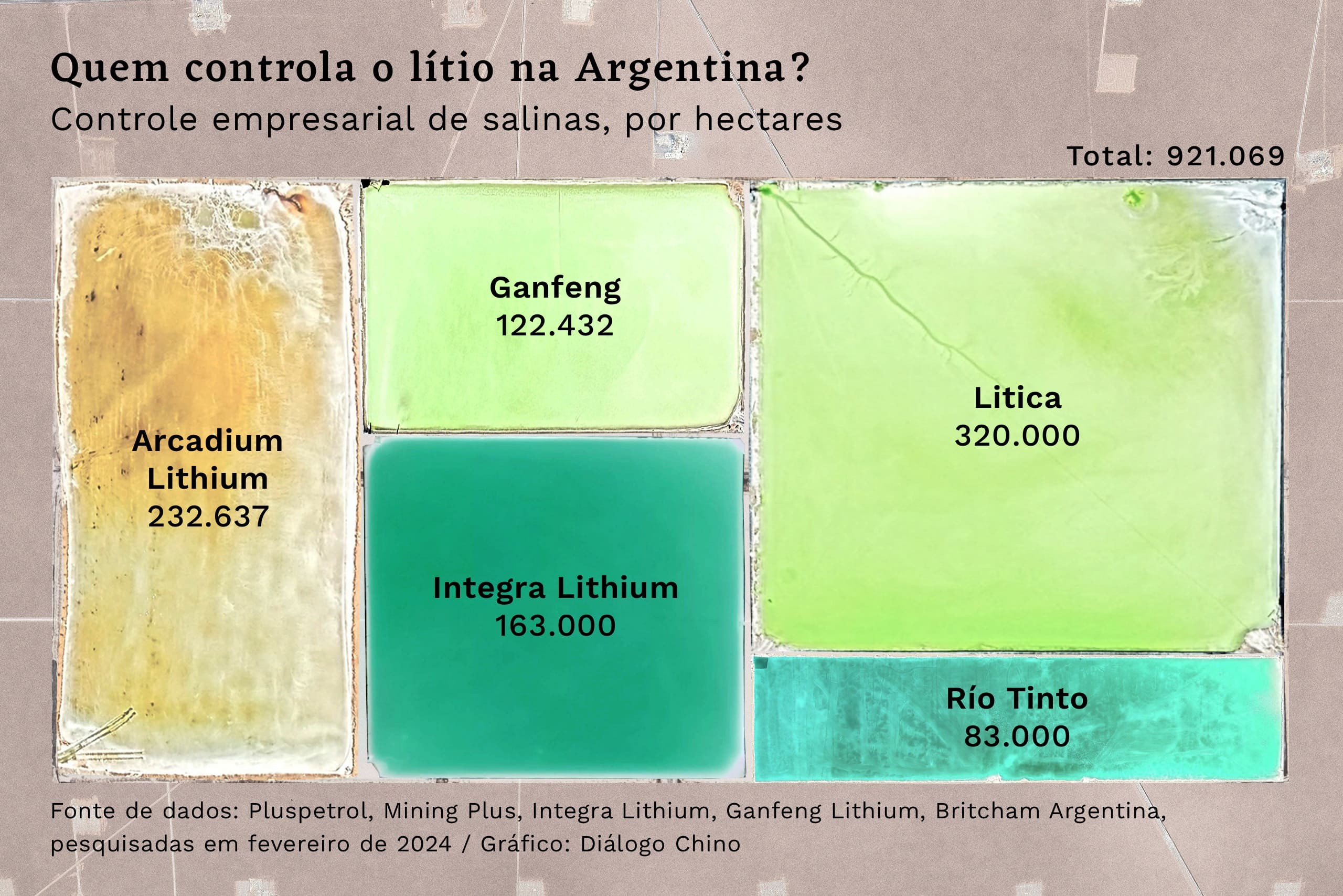 Controle empresarial de salinas, por hectares, na produção de lítio na Argentina